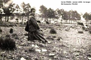 Images d'Algerie 359